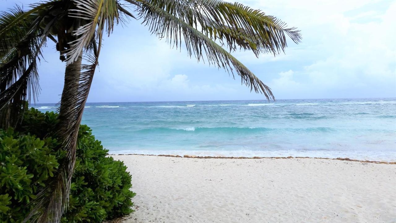 Riviera Maya Luxury Oceanfront Condo Akumal Exterior photo
